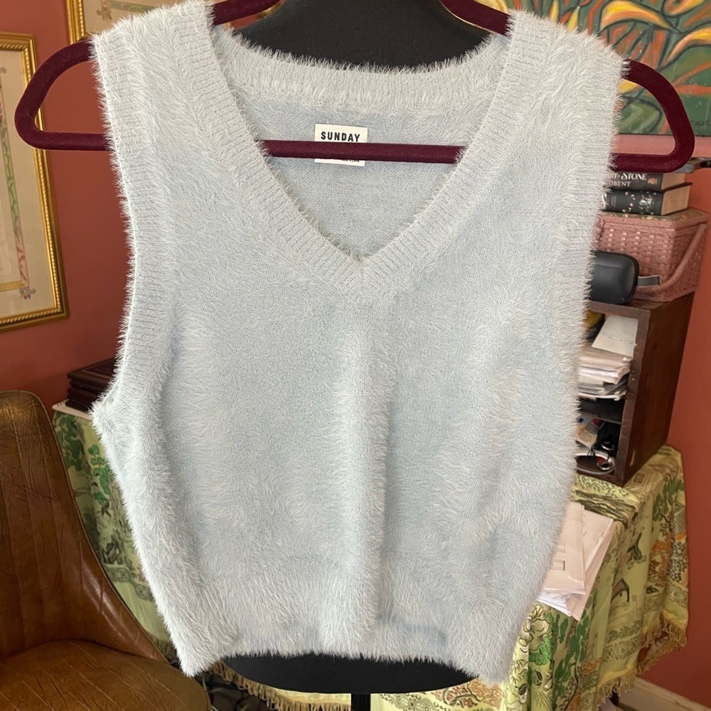 Sunday Best Aritzia Tia Fuzzy Sweater Vest in Dune Blue Size Small Retail $78